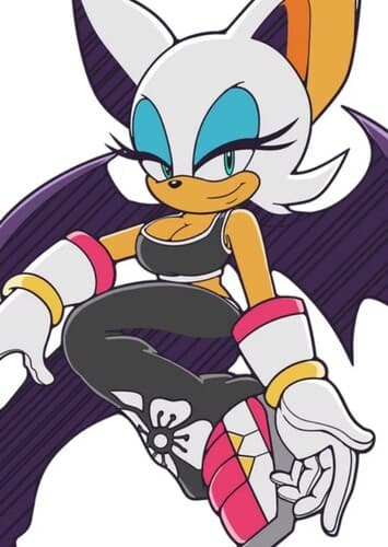 Rouge The Bat