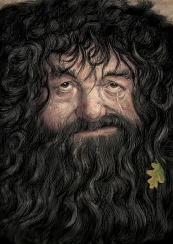 Rubeus Hagrid