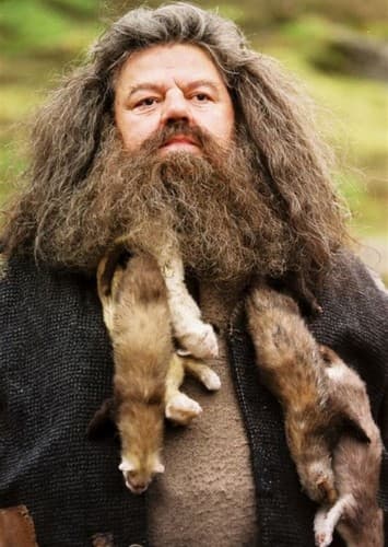 Rubeus Hagrid