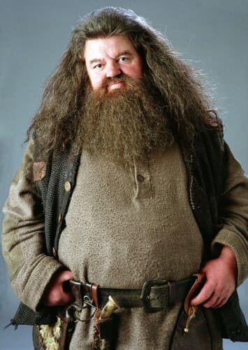 Rubeus Hagrid