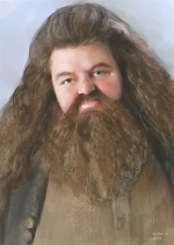 Rubeus Hagrid