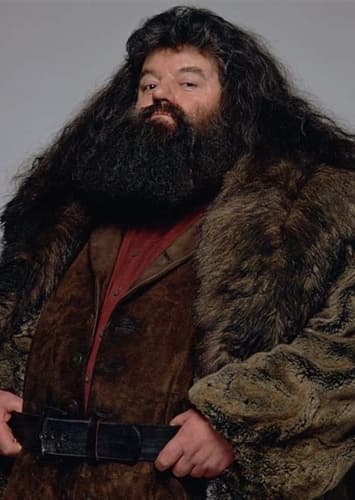 Rubeus Hagrid
