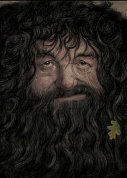 Rubeus Hagrid