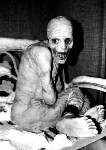 Russia test subjects.