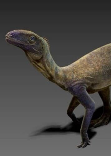 Sacisaurus