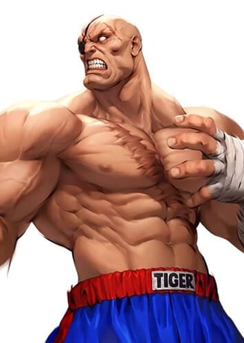 Sagat