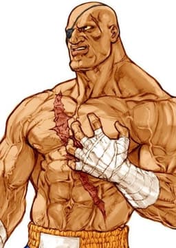 Sagat