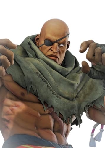 Sagat