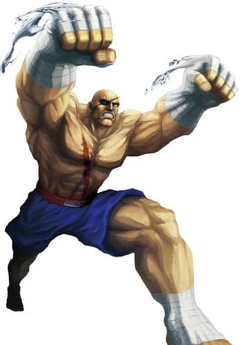 Sagat