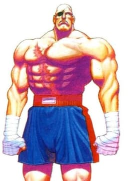 Sagat