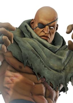 Sagat