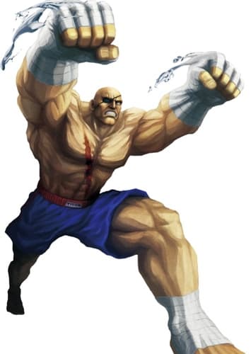 Sagat