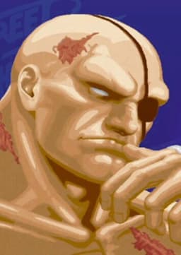 Sagat