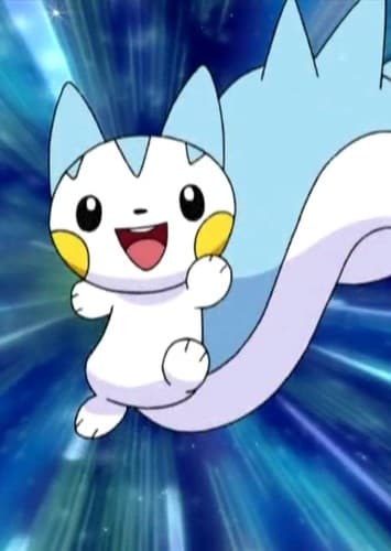 Sally's Pachirisu