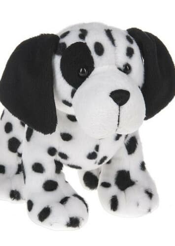 Salt and Pepper Dalmatian
