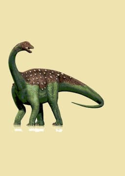 Saltasaurus One