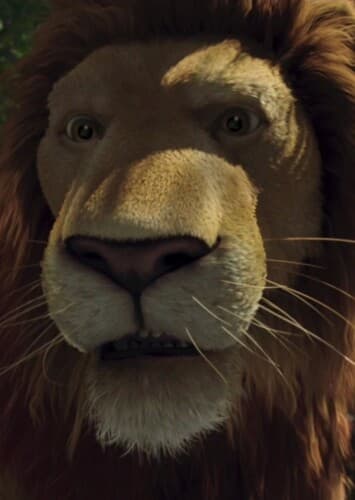 Samson The Lion