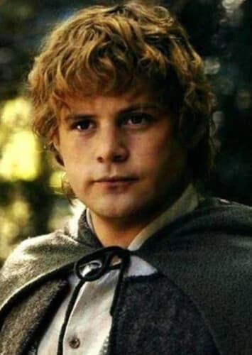 Samwise Gamgee