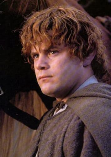 Samwise Gamgee