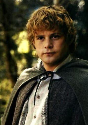 Samwise Gamgee