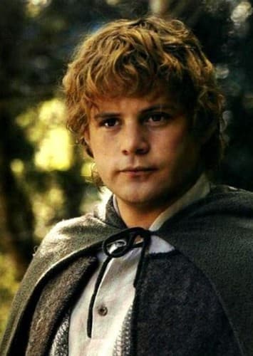 Samwise Gamgee