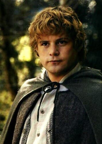 Samwise Gamgee