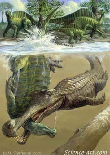 Sarcosuchus
