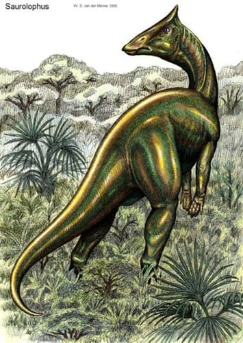 Saurolophus