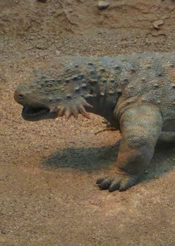 Sclerosaurus