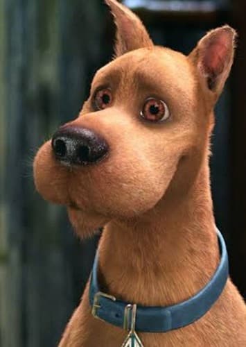 Scooby Doo