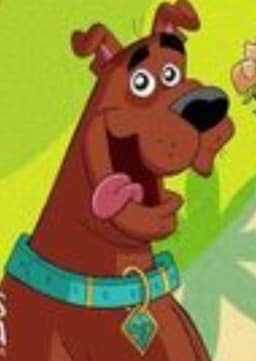 Scooby Doo