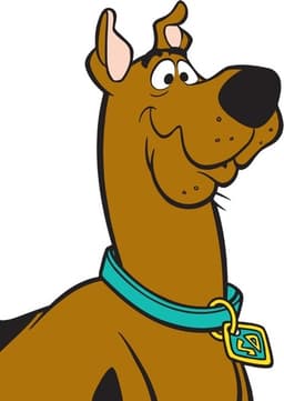 Scooby doo