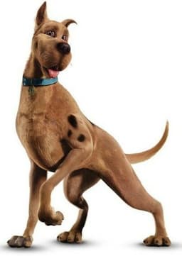 Scooby Doo