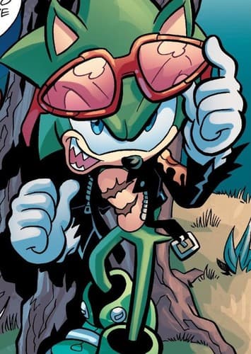 Scourge The Hedgehog