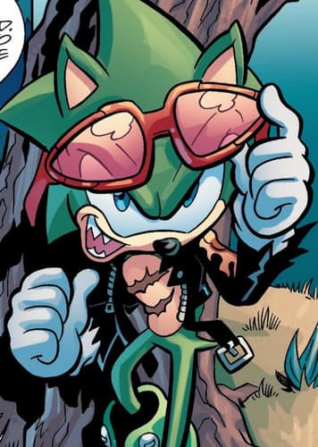 Scourge the Hedgehog