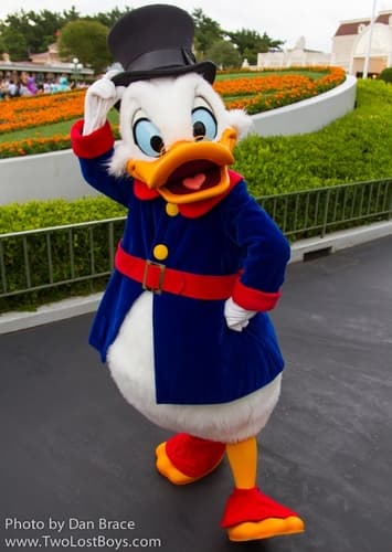 Scrooge mcduck
