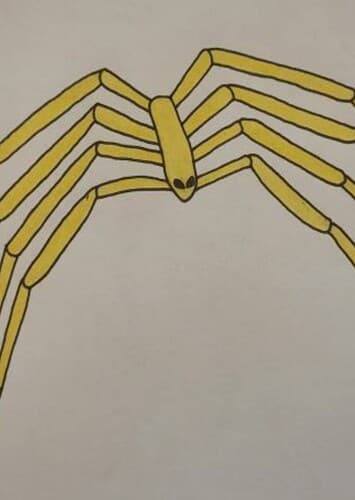 Sea Spider