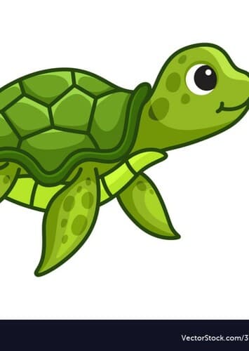 Sea Turtle