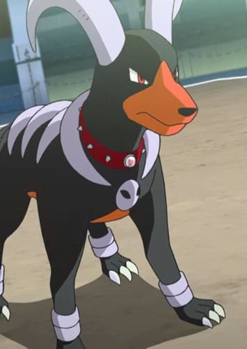 Shadow's Houndoom