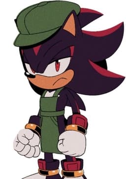 Shadow the Hedgehog