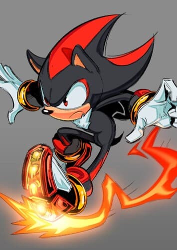 Shadow The Hedgehog