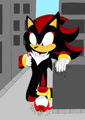 Shadow the Hedgehog