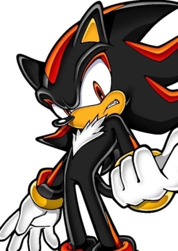 Shadow The Hedgehog