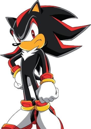 Shadow The Hedgehog