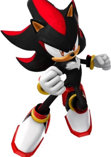 Shadow The Hedgehog
