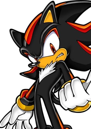 Shadow the Hedgehog
