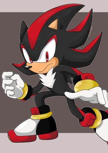 Shadow The Hedgehog