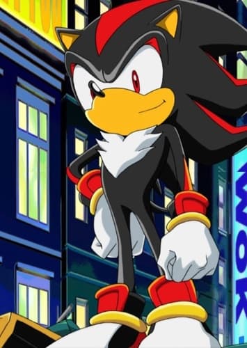 Shadow the Hedgehog