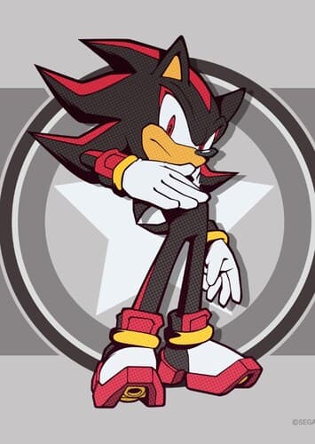 Shadow The Hedgehog