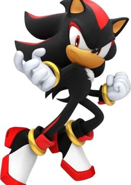 Shadow The Hedgehog